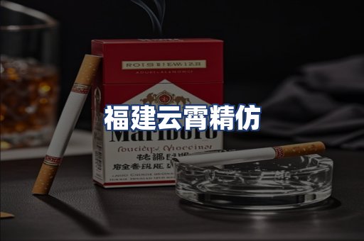福建云霄精仿